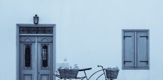 Kiedy można przycinać żywopłot?