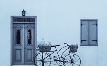 Kiedy można przycinać żywopłot? Kiedy można przycinać żywopłot?