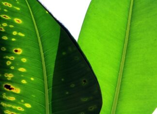 Jak porównać dwa komputery? Jak porównać dwa komputery?