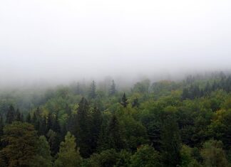 Jak zasłonić dół wanny? Jak zasłonić dół wanny?