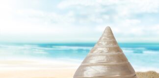 Gdzie stosuje się obudowy typu desktop?